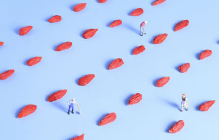 ��������轹���5