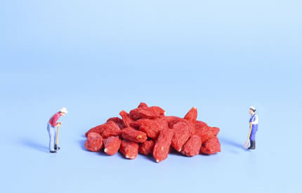 ��������轹���10